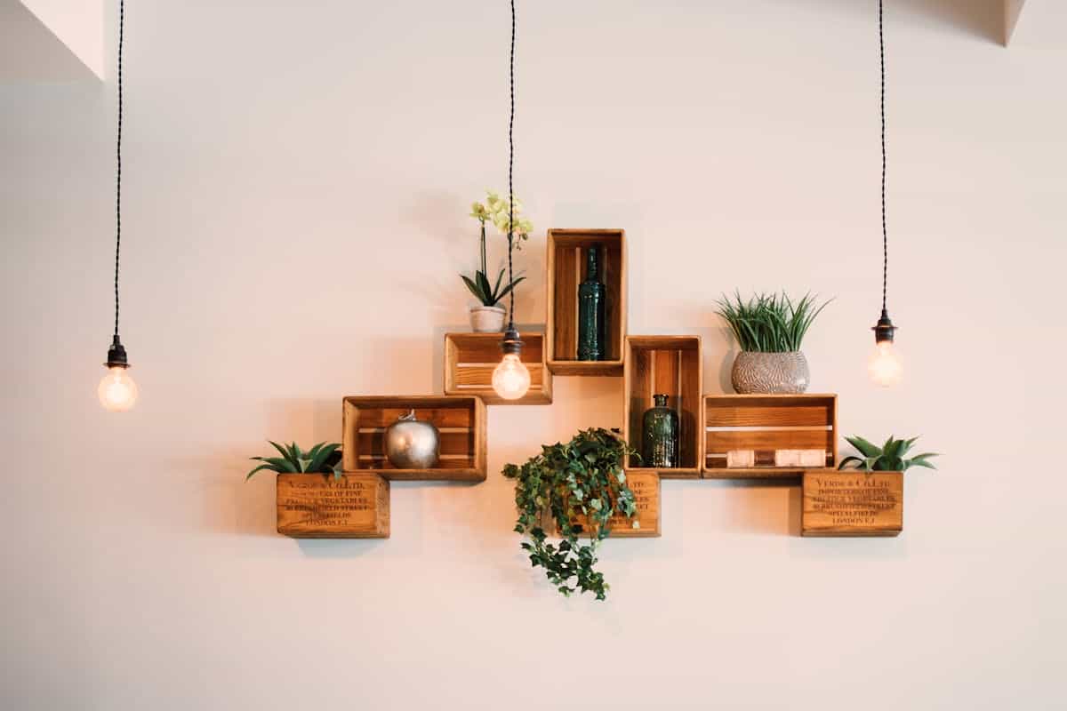 Contemporary wooden wall shelves styled with plants and decor under warm lighting, illustrating wooden shelf wall decor