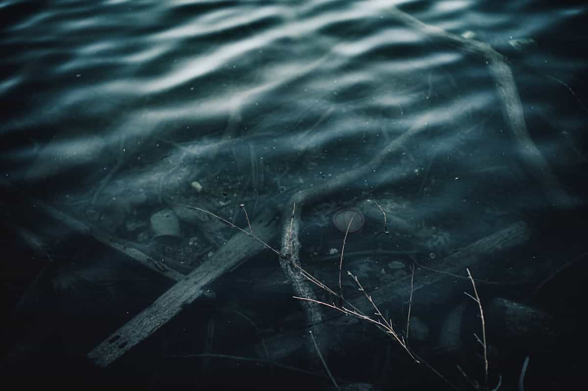 Dark and mysterious underwater scene with branches creating an eerie atmosphere representing emotional confusion and distorted self-perception in dreams
