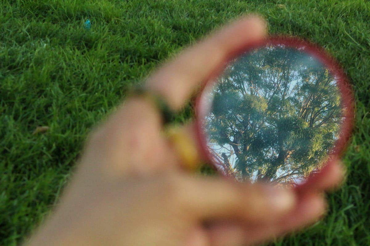 Hand holding a round mirror in a grassy field reflecting surrounding trees illustrating how mirrors reverse the depth axis not the left-right axis in what is a cognitive not optical effect
