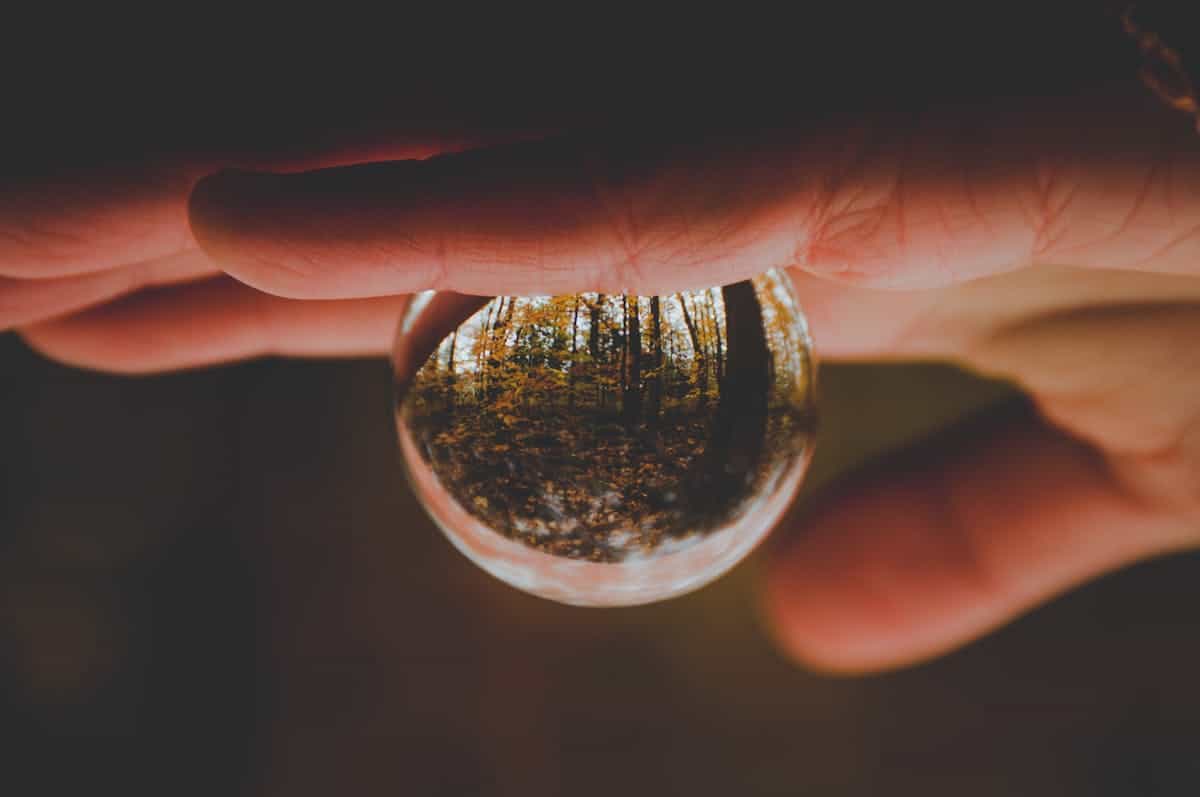 Hand holding a glass sphere reflecting woodland scenery in soft natural light