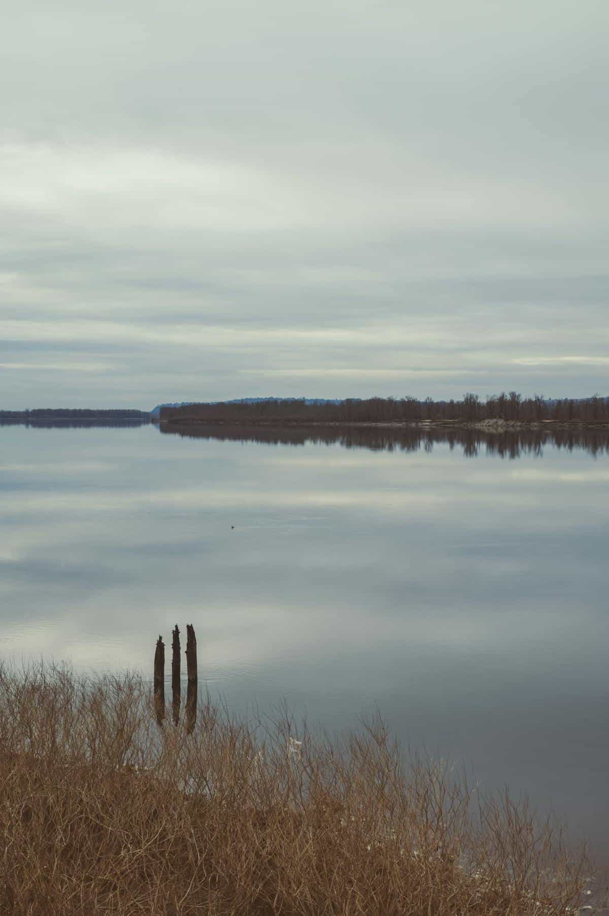 Calm lake mirroring clouds and treeline at dusk with glassy surface
