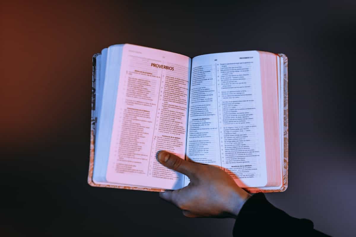 A person holds an open Bible with verses highlighted in warm natural light representing the scriptural function of the Word of God as a mirror revealing the truth of the soul
