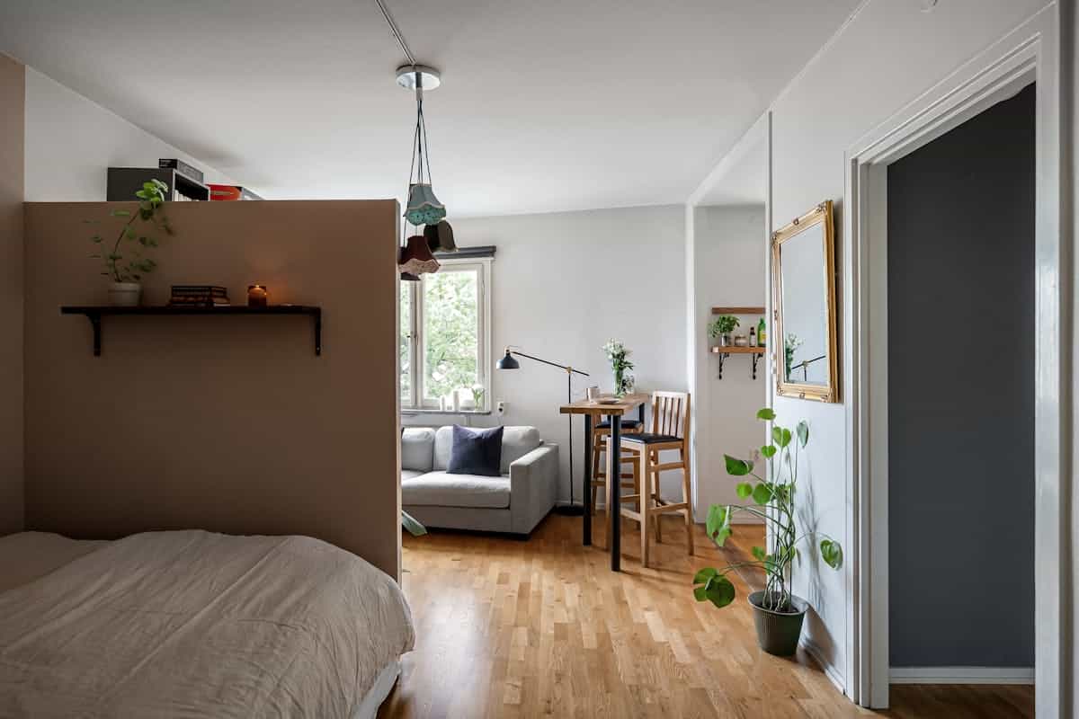 Small apartment with plants and natural light illustrating feng shui energy in a studio Cozy small apartment seating area with plants and natural light, illustrating feng shui light and plants in small spaces