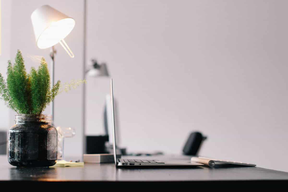 Home office with a plant illustrating feng shui colors and living energy for remote workers Home office desk with a laptop, lamp and an indoor plant, illustrating feng shui home office colors and plants