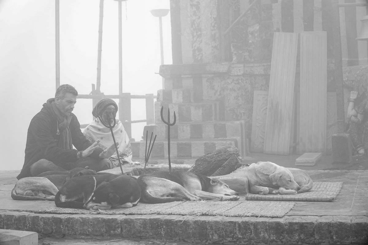 Two people meditating with dogs in a foggy serene outdoor setting representing animal connection Two people meditating with dogs in a foggy serene outdoor setting representing animal connection