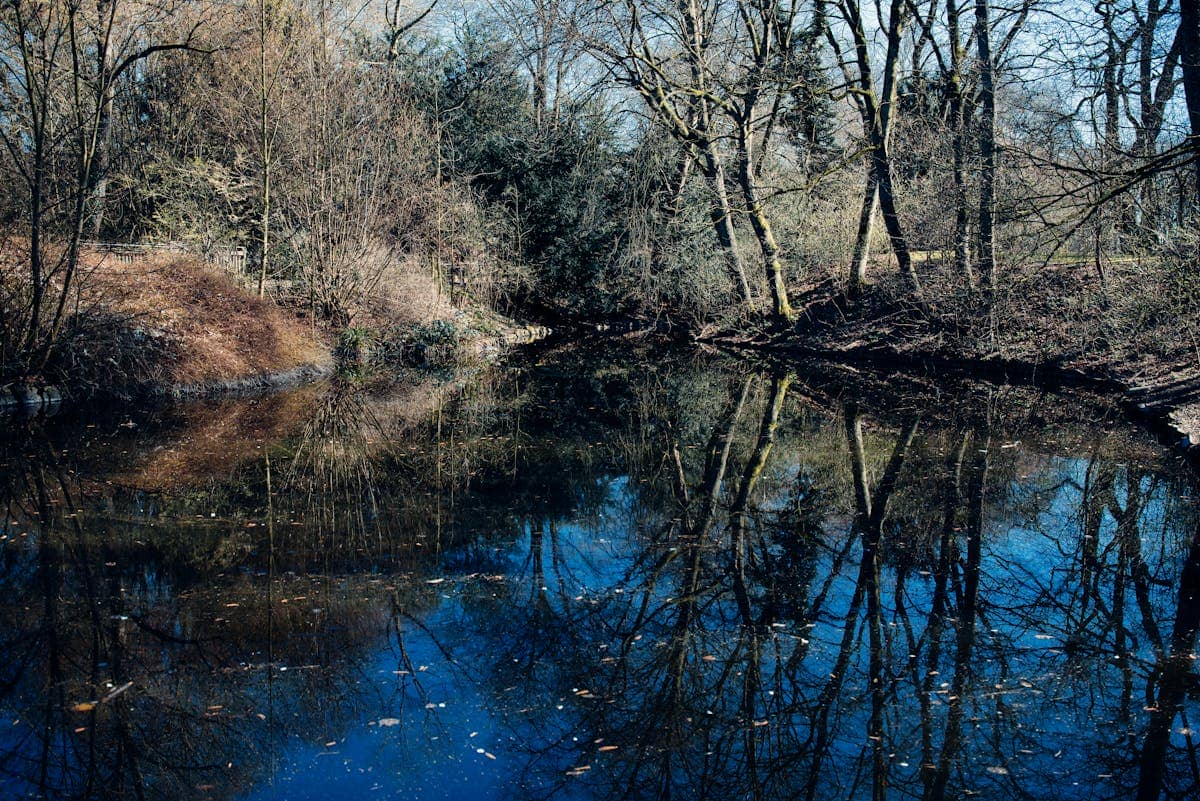 Narcissus Myth Mirror Symbolism: Ovid, Echo, and the Pool