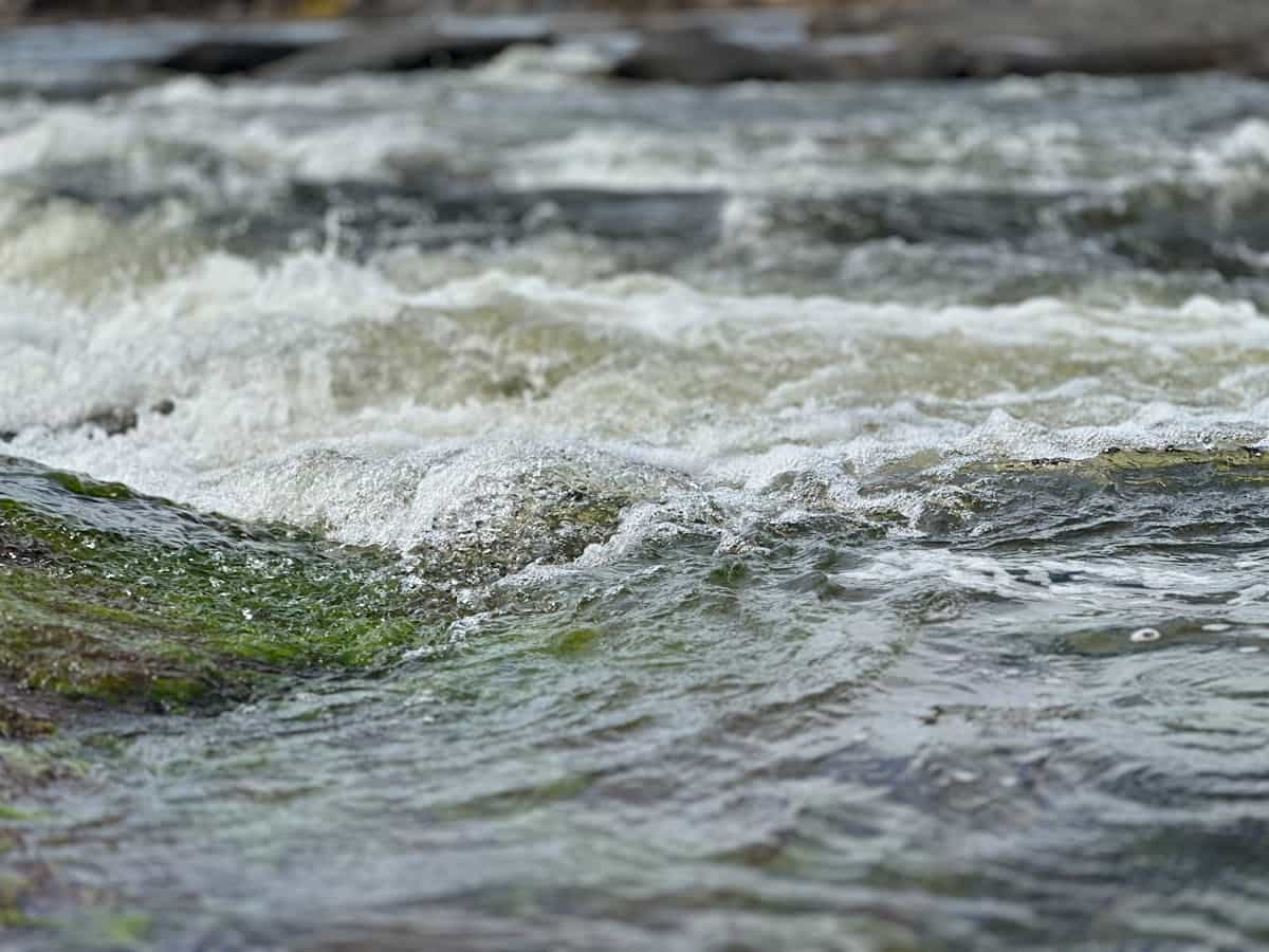 Wide river flowing steadily through green landscape with sunlight reflecting off moving water surface