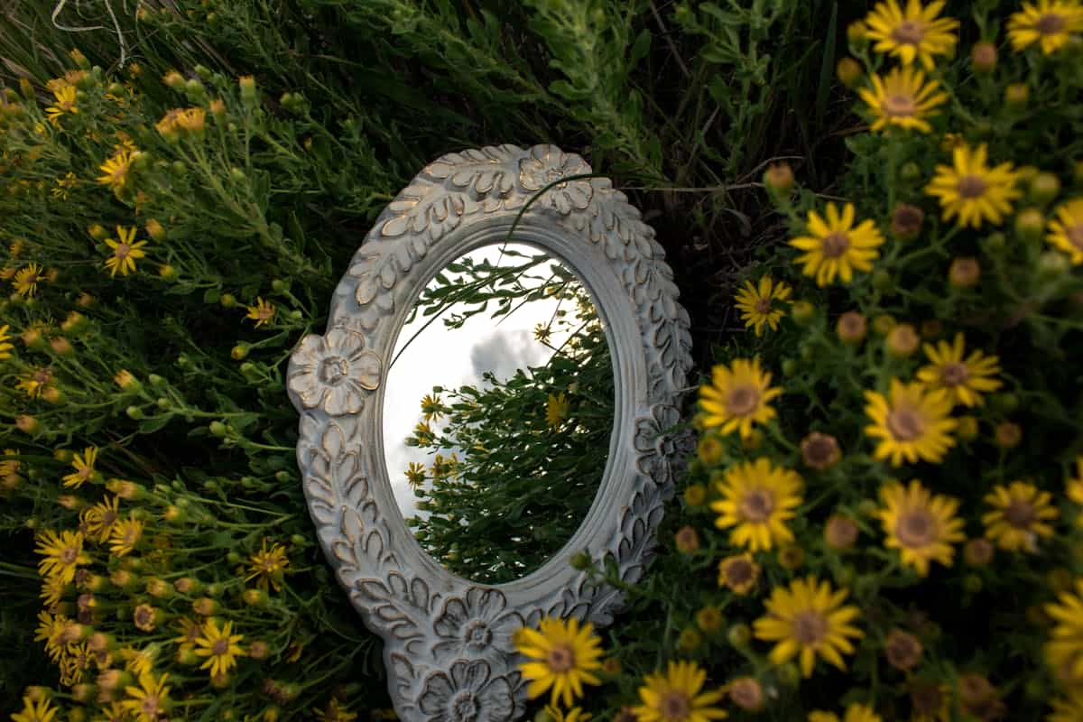 Ornate gold-framed mirror surrounded by vibrant yellow wildflowers reflecting the open sky representing self-image, beauty, and the relationship between inner perception and outward reflection in dream symbolism