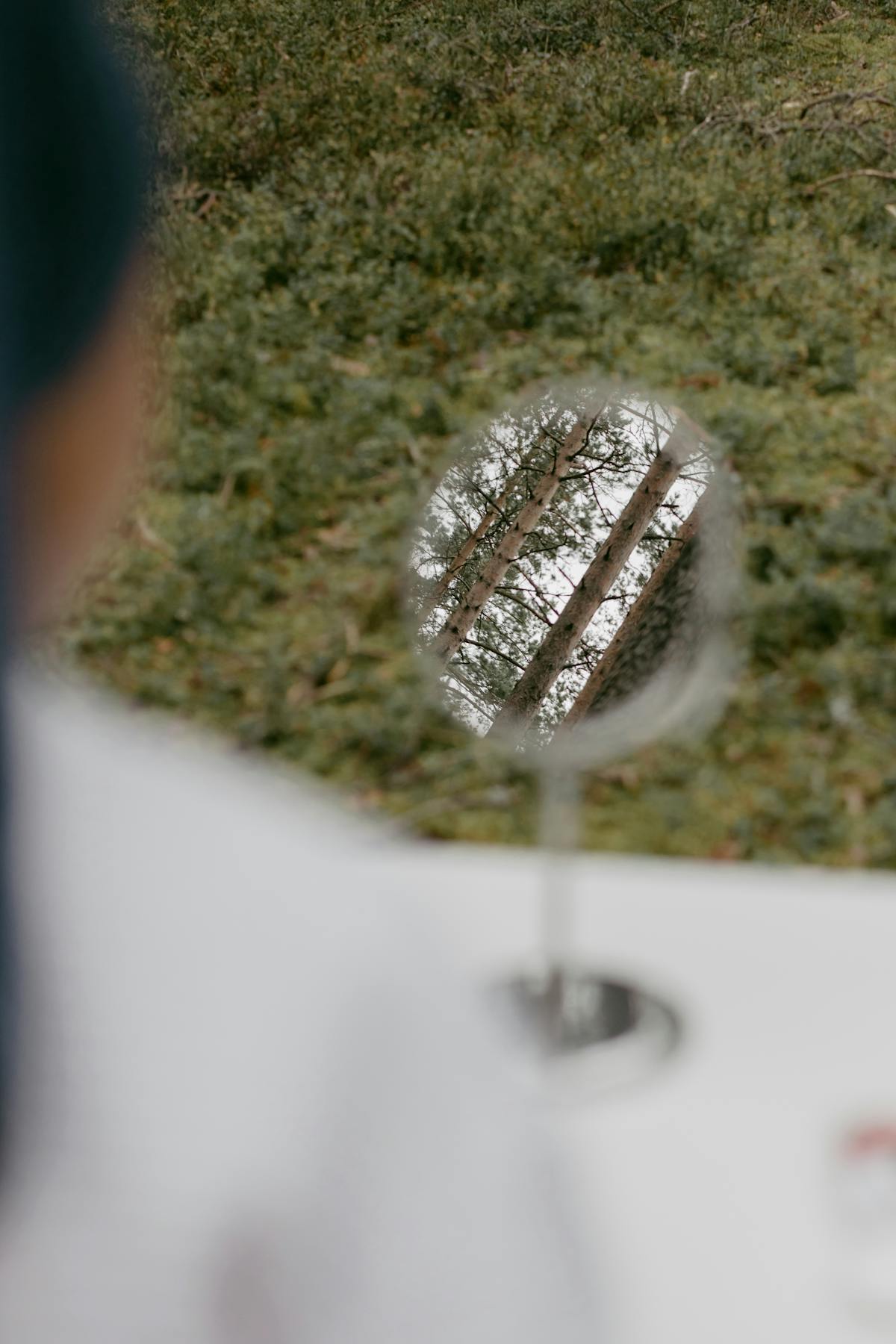 Round mirror on table reflecting forest trees and natural outdoor greenery