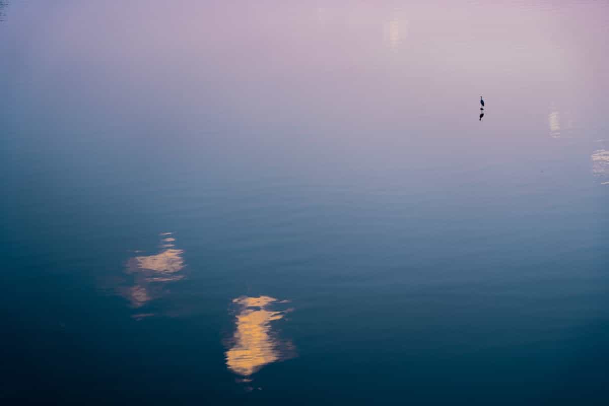 Serene twilight water scene with gentle reflections on a calm surface representing emotional clarity and peaceful self-awareness in mirror-in-water dreams