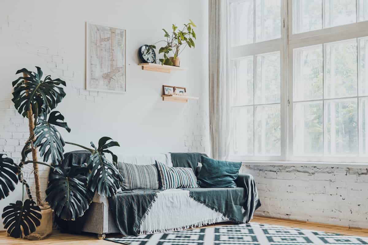 Bright modern living room with monstera plants and open floor space, illustrating feng shui pathways and flow