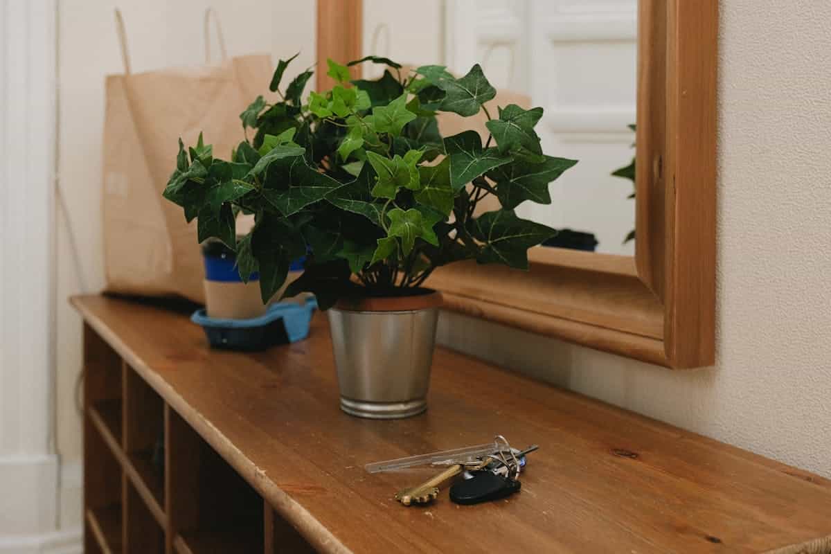 Entryway mirror above a table with keys and bags, illustrating an entryway mirror with hooks for storage and style.