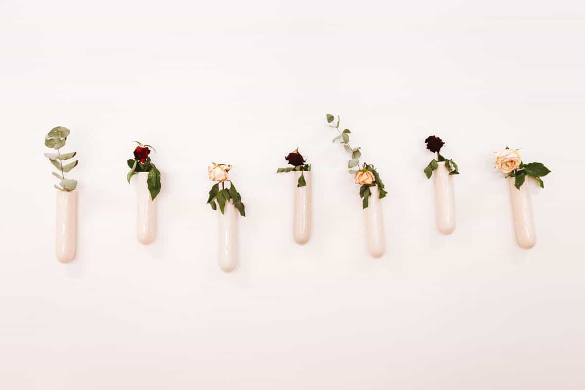Minimalist wall-mounted vases with flowers and foliage, illustrating vase wall decor as a natural touch