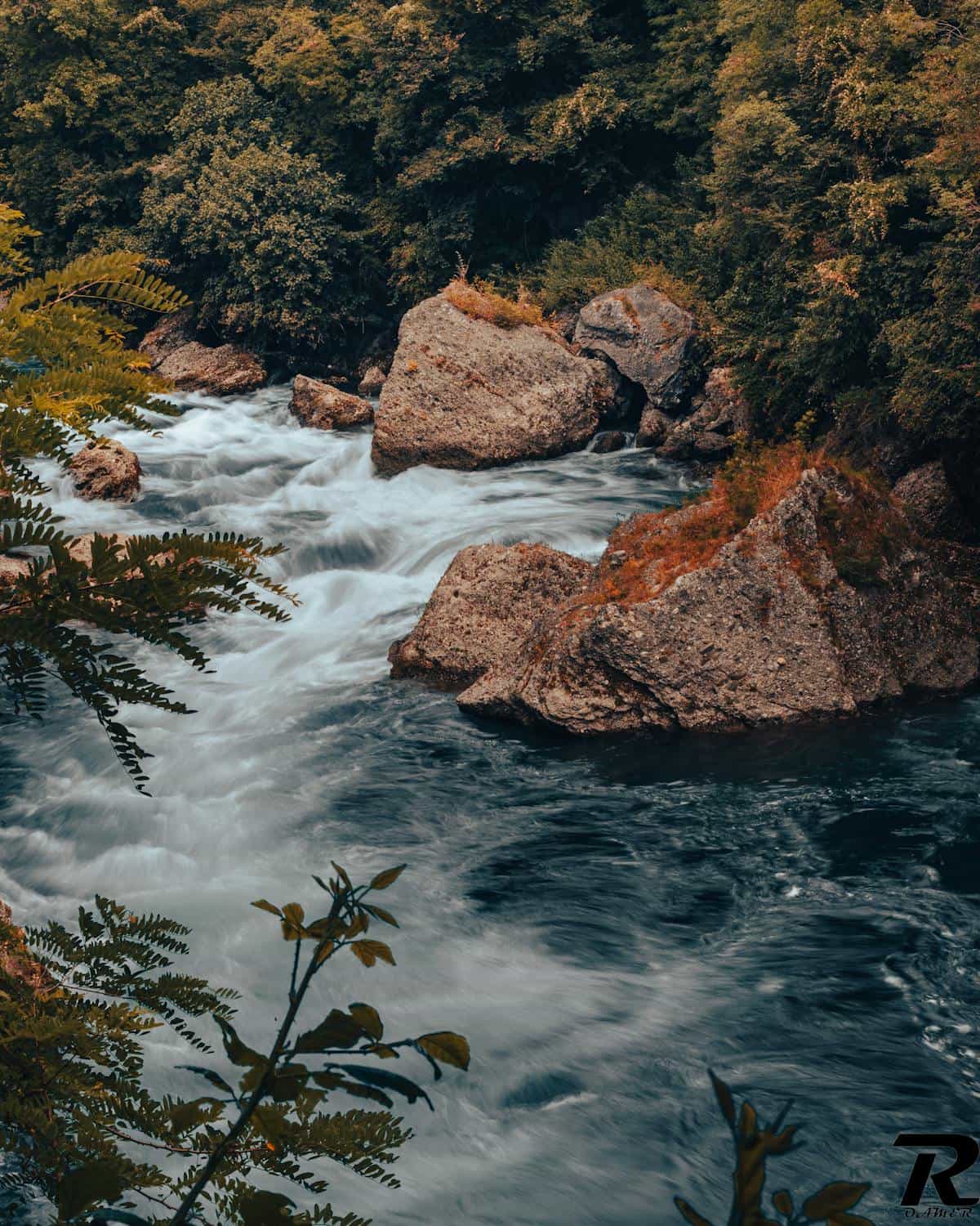 Tranquil river flowing over rocks in a green forest suggesting motion and change rather than doom