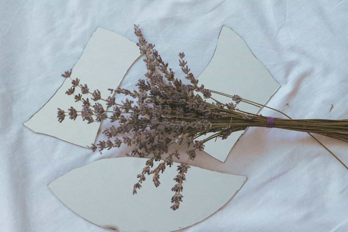 Dried lavender resting on broken mirror shards with a reflective surface